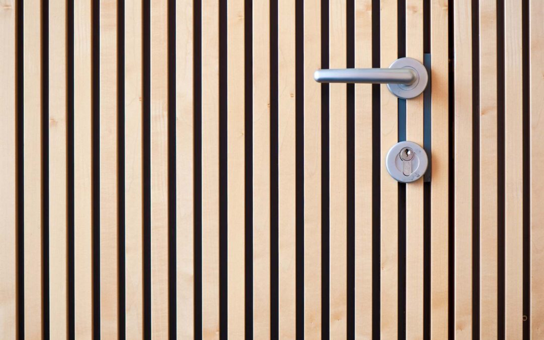 Comment Choisir la Serrure Idéale pour votre Porte d’Entrée ?