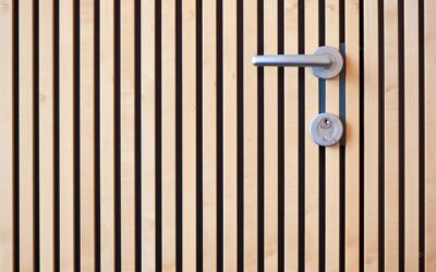 Comment Choisir la Serrure Idéale pour votre Porte d’Entrée ?
